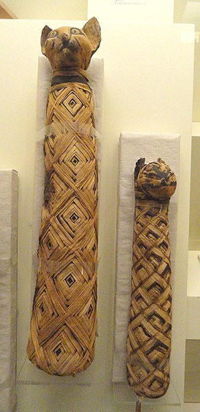 File:Cat mummies, Egypt - Royal Ontario Museum - DSC09743.JPG