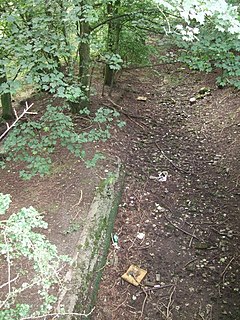 <span class="mw-page-title-main">Ceint railway station</span> Disused railway station in Anglesey, Wales