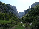 La gorge de Cheile Turzii, longue d'environ deux kilomètres, est traversée par le ruisseau Hășdate, qui a creusé dans le calcaire.