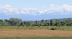 Chelle-Debat (Hautes-Pyrénées) 1.jpg