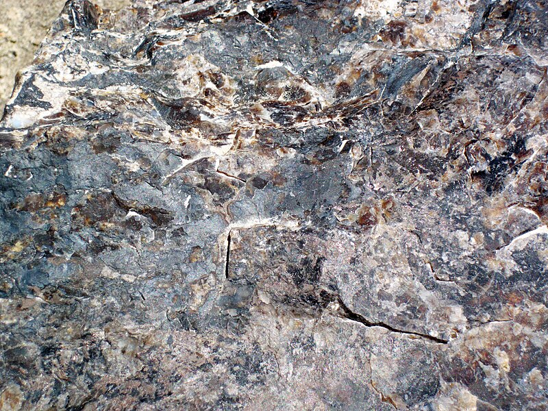 File:Chert (Morrison Formation, Upper Jurassic; Dinosaur National Monument, Utah, USA) 15 (48829095193).jpg