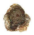 Thumbnail for Chlorargyrite