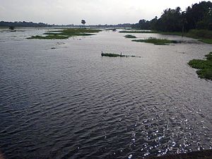 The Choita River in the monsoon season, from the Kharua Rajapur Bridge