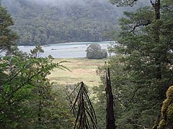 Clarke Sungai Westland Aotearoa New Zealand.jpg