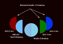 A conceptual visualization of a color matching experiment. A circular foveal bipartite field (about the size one's thumbnail an arm's length away ) is presented to the observer in a dark surround. One part of the field is illuminated by a monochromatic test stimulus. The participant adjusts the intensities of the three coincident monochromatic primary lights (which are usually red, green and blue hues) on either field until both the test stimulus and match stimulus appear as the exact same color. In this case the participant has added red to the 480 nm test stimulus and has almost matched the match stimulus made of only the green and blue lights of comparable intensities. The specific monochromatic primaries shown here are from the Stiles-Burch 1955 experiment. Colormatch.svg