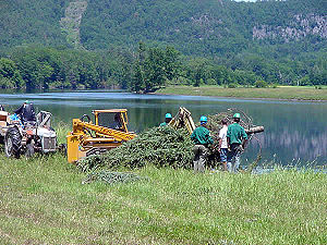 Connecticut River