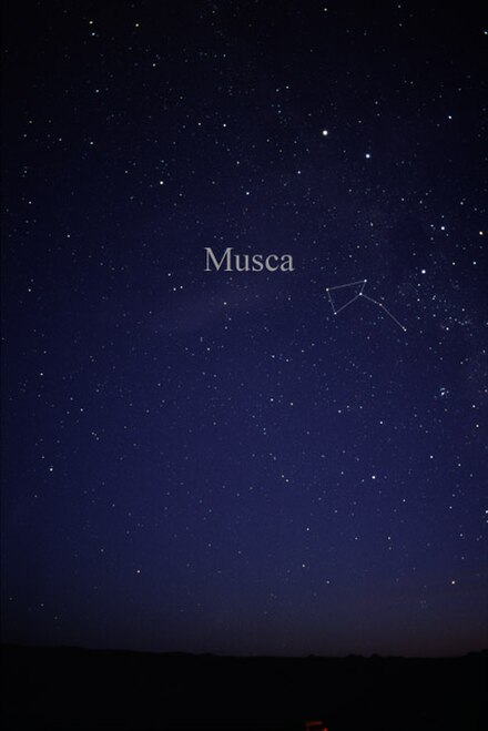 Musca as seen by the naked eye