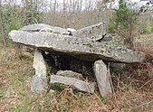 Dolmen de la Pidoucière.