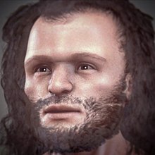 Uomo Di Cro Magnon Wikipedia