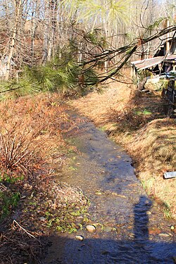 Culley Run търси нагоре по веригата.JPG