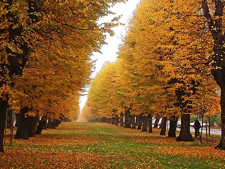 Czechia, Jicin, Wallenstein's alley.jpg