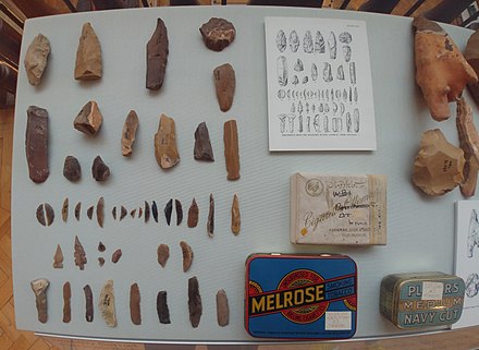 Display of material excavated by Dorothy Garrod, Museum of Archaeology & Anthropology, Cambridge, March 2022. Objects relate to Mount Carmel excavations.