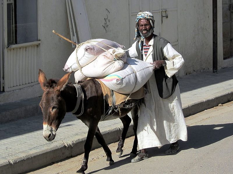 File:Donkey Transport (8383370559).jpg