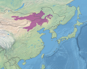 Beskrivelse af billedet Ecoregion PA0813.svg.