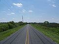 Emeralda Island Road, looking north.