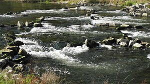 The Danube in Ertingen