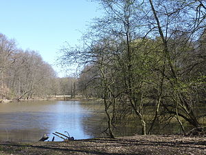 FFM Foersterwiesenweiher bank view from the west.jpg