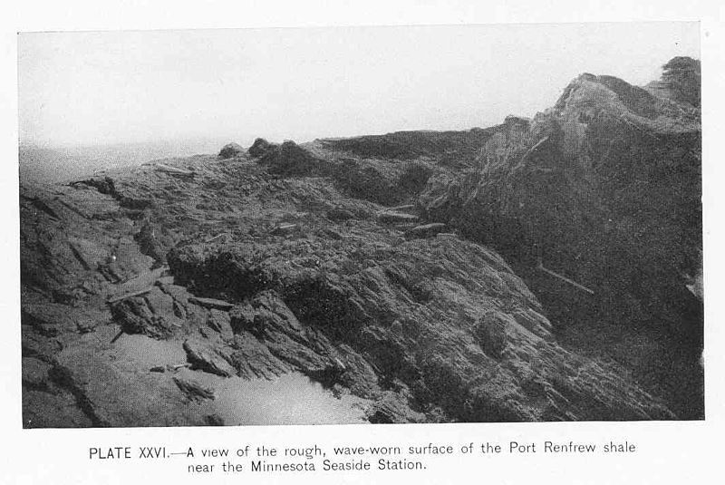 File:FMIB 47413 View of the rough, wave-worn surface of the Port Renfrew shale near the Minnesota Seaside Station.jpeg