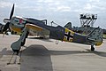 Reproduction d'un Focke-Wulf Fw 190 A8