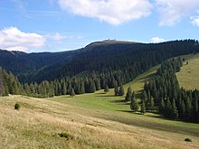 Der Feldberg aus Nordnordwest, etwas oberhalb des Hüttenwasen