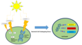 Figure 1 - UV radiation.png