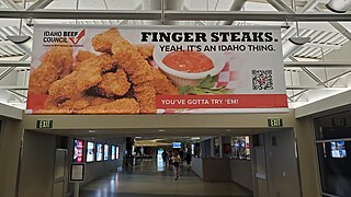 <span class="mw-page-title-main">Finger steaks</span> Deep-fried steak strips