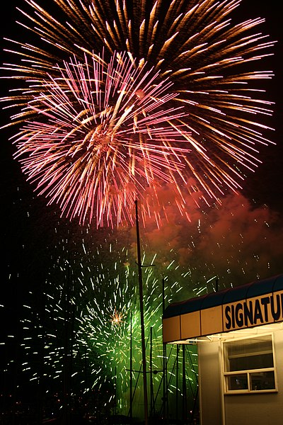 File:Fireworks - July 4, 2009 (3703905182).jpg