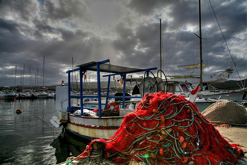 File:Fishing net (7807028930).jpg