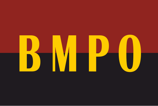 File:Flag of the IMRO-BNP.svg
