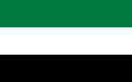 Bandiera della Giovane Società Araba (1914-1919) e del Partito Ottomano per la Decentralizzazione Amministrativa (1914-1916) 2:3