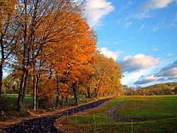 Autumn landscape