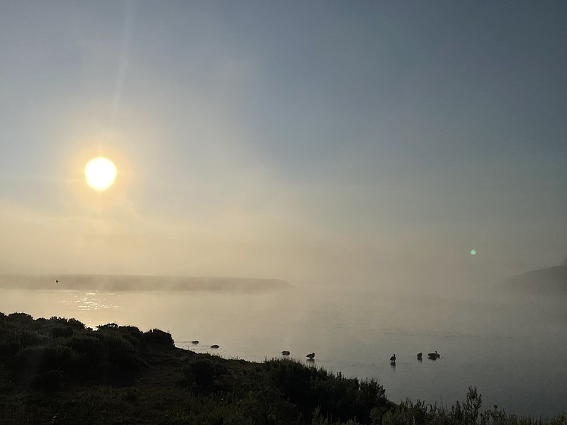File:Fog on the Yellowstone River in Hayden Valley.jpg