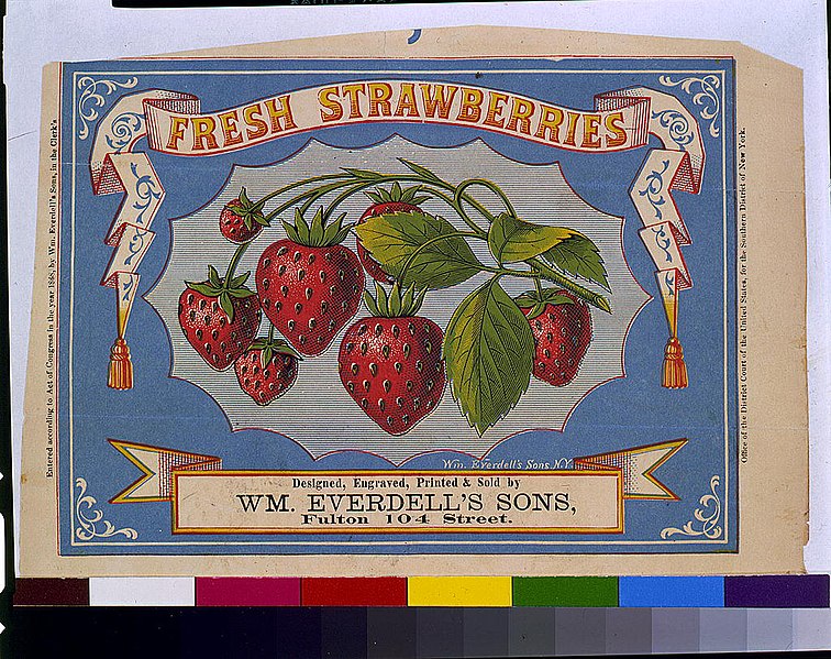 File:Fresh strawberries - Wm. Everdell's Sons, N.Y. LCCN93504445.jpg