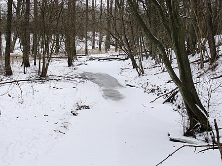 Freudenbach im Winter