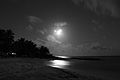 Full Moon (4741047633).jpg