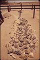 GLAMIS CEMETERY, A DESERT GRAVEYARD IN THE IMPERIAL VALLEY DATES BACK TO 1878 AND HAS BEEN DECLARED AN HISTORICAL... - NARA - 549041.jpg