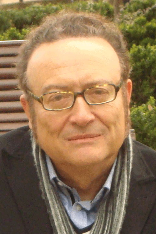 GREGORIO MORALES VILLENA (2013)