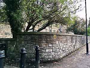 Garden wall of St Andrew, High Street, Llandaff, October 2018 (1).jpg