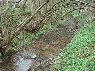 The Geißbach in front of its mouth