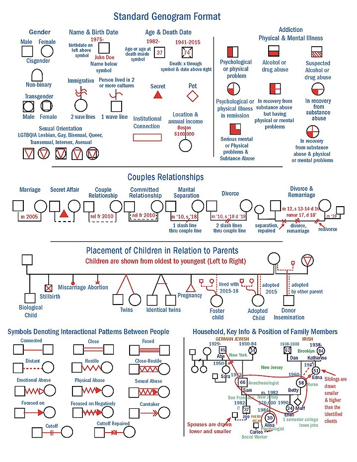 What is a Family Tree Diagram?