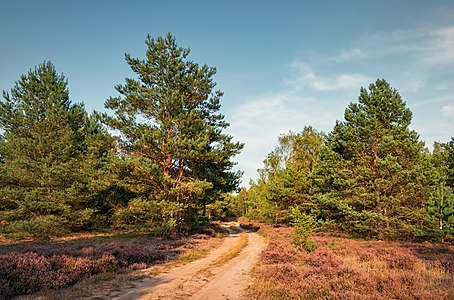 Naturschutzgebiet - Marienfließ
