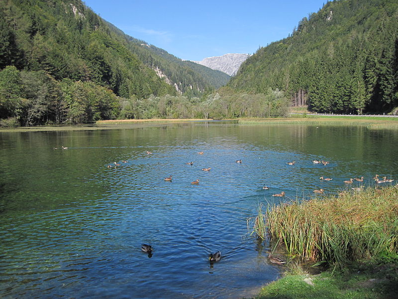 File:Gruener See bei Au bei Turnau.JPG