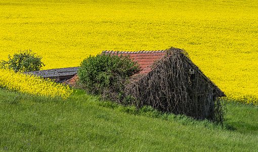 Barn located between Weisbrunn and Oberaurach