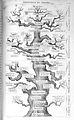 Haeckel; Anthropogenie... Wellcome L0027451.jpg