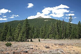 <span class="mw-page-title-main">Hager Mountain</span> Volcanic peak in Oregon