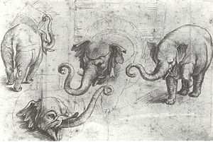 Elefant Hanno: Hintergrund, Herkunft, Hannos Reise nach Rom