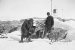 Harnessing-the-dogs-winter-quarters-Cape-Denison-Hurley.png