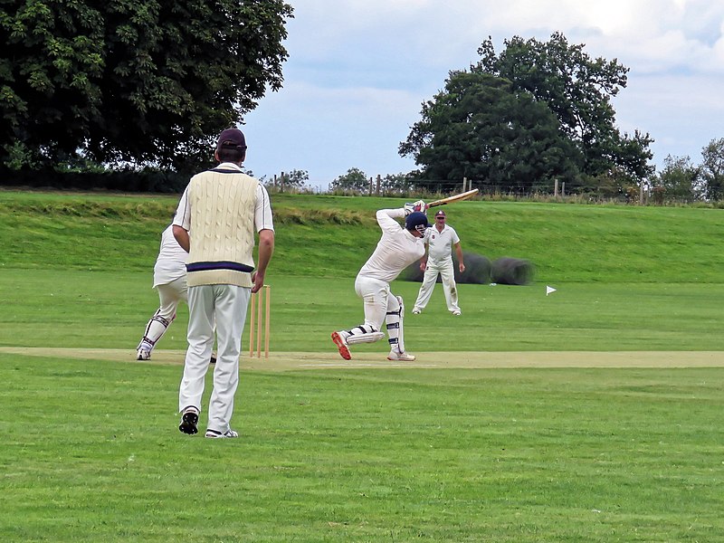 File:Hatfield Broad Oak CC v Little Hallingbury CC at Hatfield Broad Oak, Essex 032.jpg