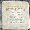 Hedwig Stein - Stolperstein.jpg