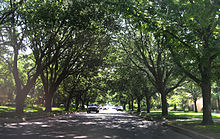 Calle bordeada de árboles en Highland Park.